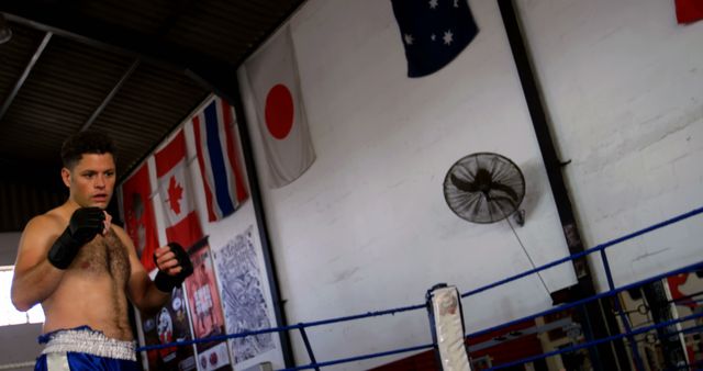 Young Boxer Training in Gym with International Flags - Download Free Stock Images Pikwizard.com