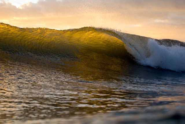 Capturing the essential beauty of an ocean wave illuminated by the golden rays of the setting sun. Suitable for themes focused on nature, travel, inspiration, and tranquility. This can be used in travel blogs, nature photography showcases, or as a calming desktop backdrop for offices.