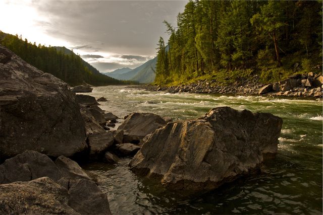 Scenic Rocky River in Mountain Forest at Sunset - Download Free Stock Photos Pikwizard.com