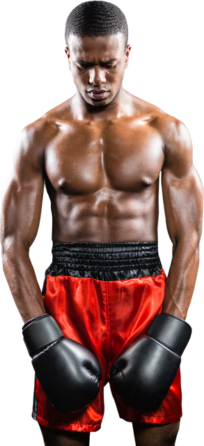 Depressed Boxer with Gloves Standing Transparent Background - Download Free Stock Videos Pikwizard.com