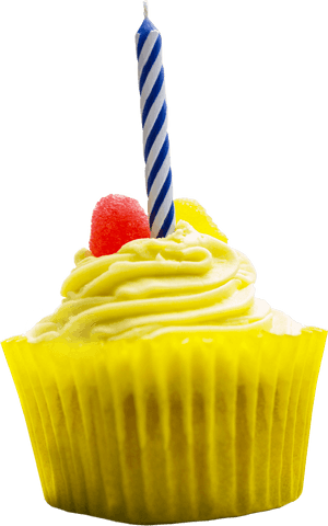 birthday cupcake with candle on transparent background - Download Free Stock Videos Pikwizard.com