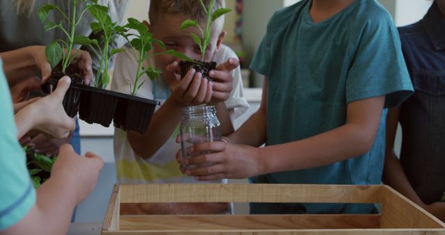 Children planting seedlings in indoor classroom activity - Download Free Stock Images Pikwizard.com