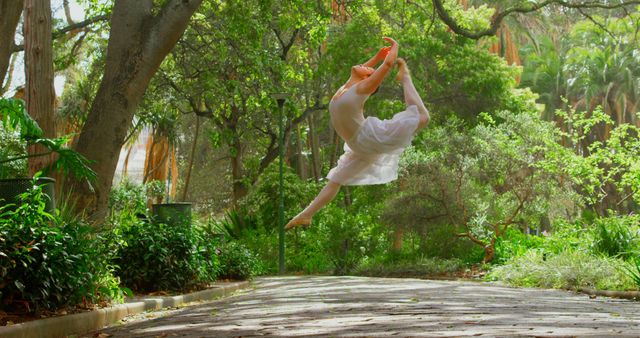 Graceful Dancer Leaping in Park Setting Amid Lush Greenery - Download Free Stock Images Pikwizard.com