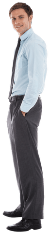 Smiling Handsome Businessman Standing or Hands in Pockets on Transparent Background