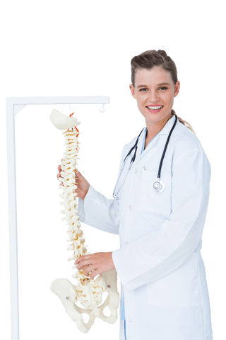 smiling doctor holding anatomical spine on transparent background - Download Free Stock Videos Pikwizard.com