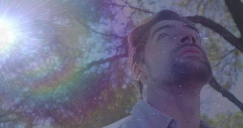 Backlit contemplative man gazing upward through tree branches with sun flare and grain