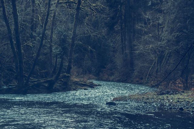 This serene forest river flowing through a densely wooded area during a winter evening can be used for nature blogs, travel brochures, environmental conservation campaigns, and inspirational quote backgrounds.