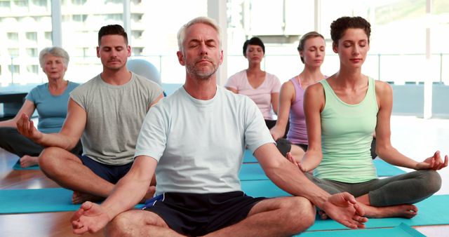 Diverse Group Meditating in Yoga Class at Fitness Studio - Download Free Stock Images Pikwizard.com