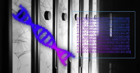 DNA Data Integration in Modern Network Server Environment