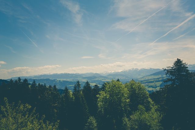 Scenic Mountain Range with Green Forest and Blue Sky - Download Free Stock Images Pikwizard.com