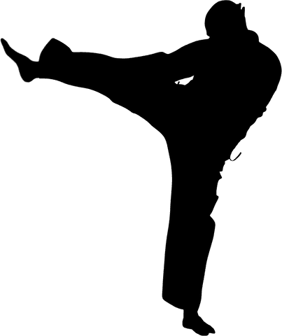 Transparent Silhouette of Male Martial Artist Performing Skillful Kick - Download Free Stock Videos Pikwizard.com