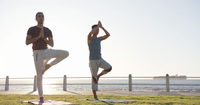 Two People Practicing Yoga Outdoors by the Ocean - Download Free Stock Images Pikwizard.com