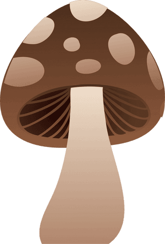 Transparent cartoon mushroom illustration with brown spotted cap