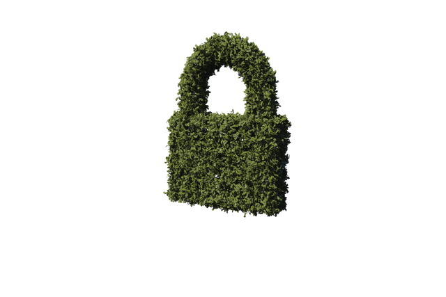 Grass Padlock Illustration on Transparent Background for Security and Nature Concepts - Download Free Stock Videos Pikwizard.com