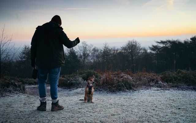 Man Training Dog Outdoors on Frosty Morning - Download Free Stock Photos Pikwizard.com