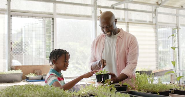 Father and Daughter Gardening in Greenhouse Clipping Seedlings - Download Free Stock Images Pikwizard.com