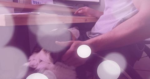 Remote worker petting dog under desk while typing on keyboard with purple bokeh