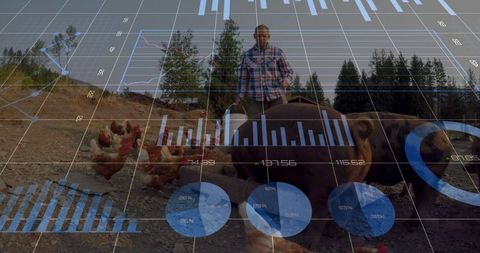 Farmer Feeding Chickens and Pigs with Overlay of Digital Data Charts