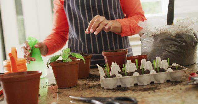 Image of midsection of biracial woman planting houseplants - Download Free Stock Photos Pikwizard.com