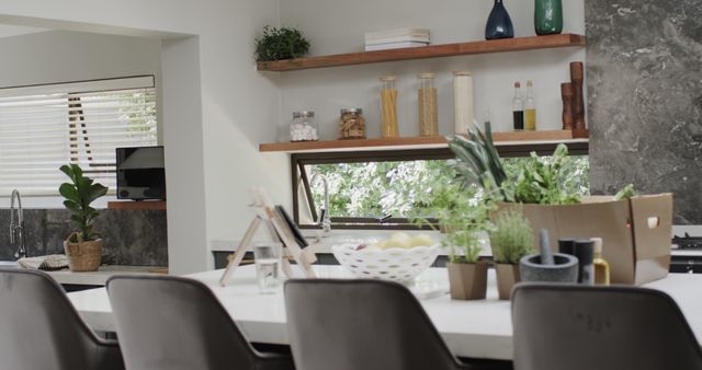 Modern kitchen interior featuring indoor plants, open wood shelves with decor items, and a neat arrangement of kitchen essentials. Can be used for articles on home decor, minimalist kitchen design ideas, or advertisements for home improvement products. The bright and organized atmosphere makes it suitable for lifestyle and interior design magazines.