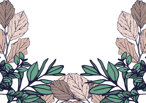 colorful foliage frame on transparent background - Download Free Stock Videos Pikwizard.com