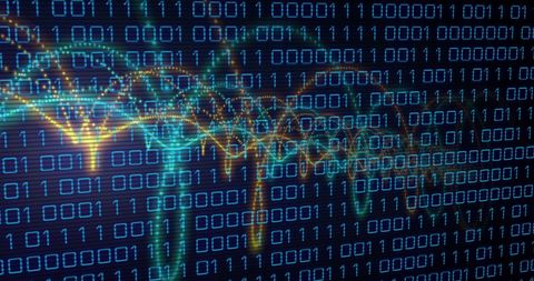 Binary Code with Network Connections and Data Processing Visual - Download Free Stock Images Pikwizard.com