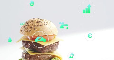 Seeded double cheeseburger showing eco metrics and infographic icons, minimalist highkey