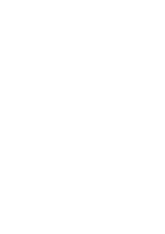 intricate white decorative pattern with copy space on transparent background - Download Free Stock Videos Pikwizard.com