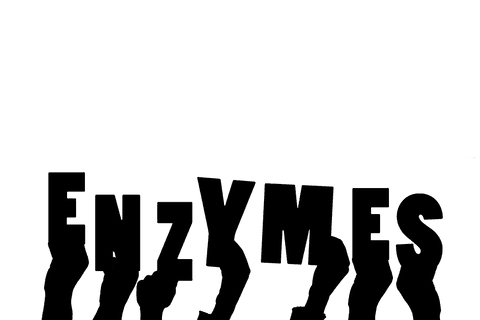 Transparent hands on enzymes communication trendy design