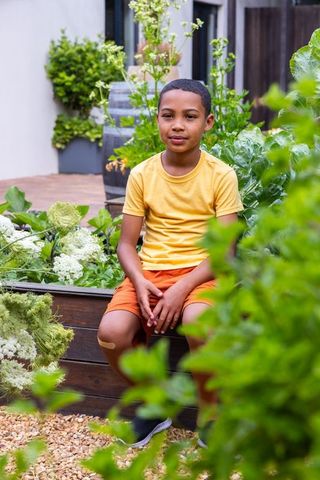 African american boy sitting on raised garden bed in backyard vegetable garden