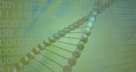 binary data overlaying dna helix in green digital space - Download Free Stock Images Pikwizard.com