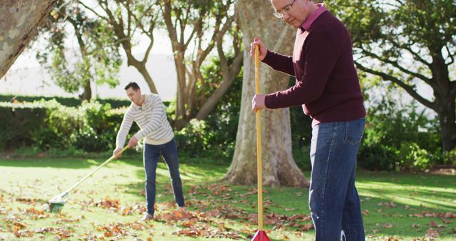 Two Men Raking Autumn Leaves in Park - Download Free Stock Images Pikwizard.com