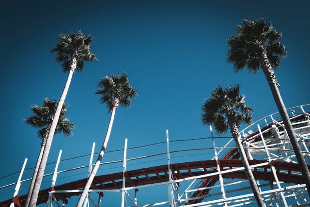 Palm Trees and Roller Coaster Track Against Clear Blue Sky - Download Free Stock Photos Pikwizard.com
