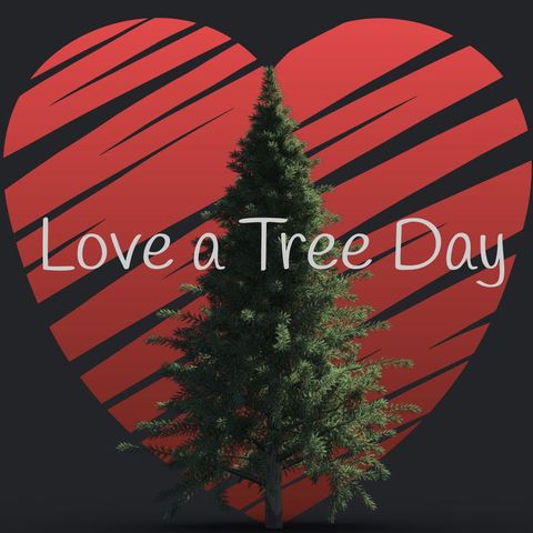 love a tree day with heart background and evergreen tree - Download Free Stock Templates Pikwizard.com