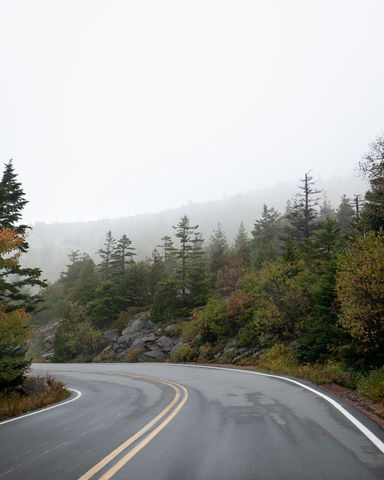 Foggy forest road with autumn colors