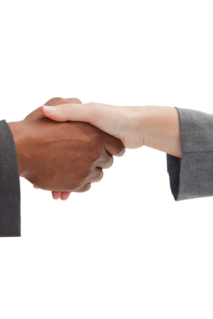 Transparent Handshake Between Diverse Professionals on Isolated Background - Download Free Stock Videos Pikwizard.com