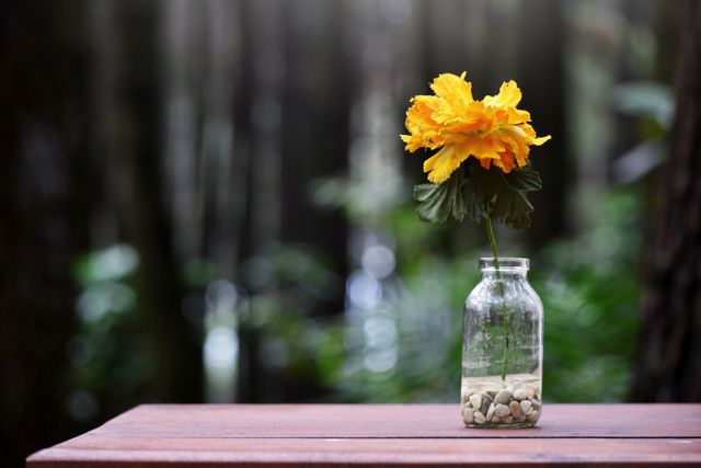 Yellow flower in a simple glass vase on wooden table with blurred forest background. Ideal for themes of nature, simplicity, and outdoor decoration. Suitable for websites, blogs, social media, and print media looking to convey serenity and natural beauty.