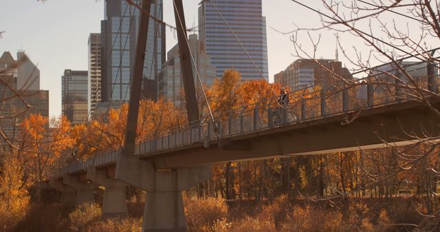 Suspension Bridge in Autumn with City Skyline Background - Download Free Stock Images Pikwizard.com