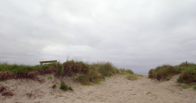 This image captures a peaceful coastal scene with a sandy pathway flanked by grassy dunes leading towards the ocean, under an overcast sky. Suitable for travel websites, beach-themed articles, or as a calming background for design projects.