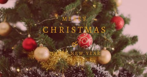 Festive Christmas Tree with Warm Holiday Message - Download Free Stock Images Pikwizard.com