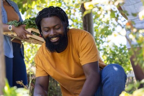 African couple tending lush home garden, harvesting leafy greens and collaborating outdoors
