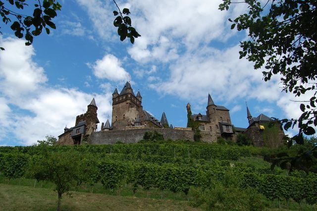 Medieval Castle with Vineyards Under Blue Sky - Download Free Stock Photos Pikwizard.com