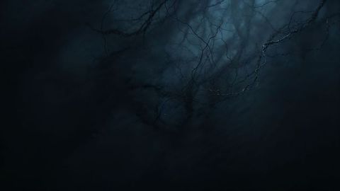 Dark water calm by forest at night