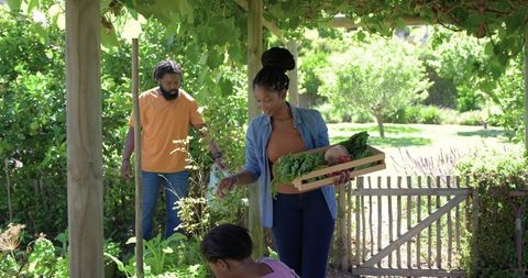 Family harvesting fresh greens in sunlit backyard garden under pergola, teamwork & wellness