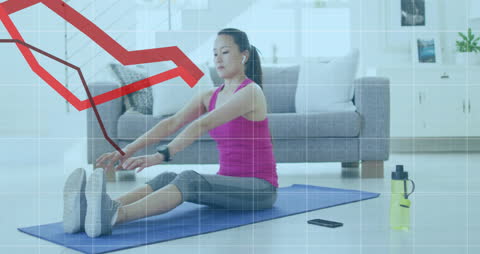 Fitness and Financial Data Conceptual Overlay