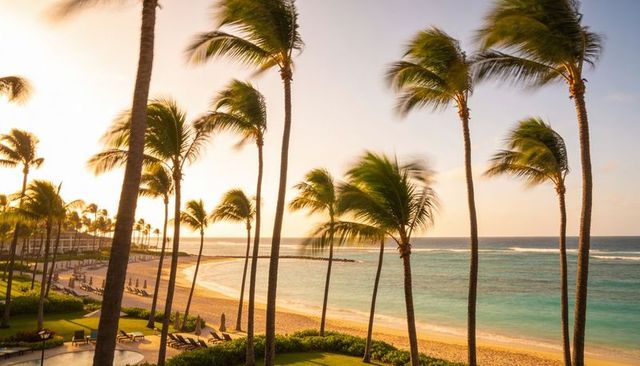 Swaying palm trees framing sunlit resort beach with turquoise ocean and poolside loungers