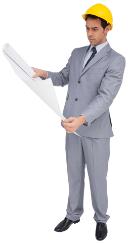 architect analyzing blueprint wearing hard hat on transparent background - Download Free Stock Videos Pikwizard.com
