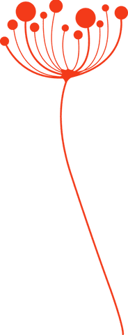 Modern Minimalist Red Seed Head Illustration with Transparent Background - Download Free Stock Videos Pikwizard.com