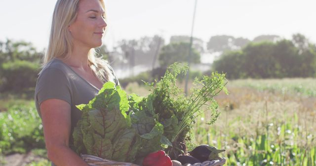 Woman Holding Basket of Fresh Vegetables in Garden - Download Free Stock Images Pikwizard.com