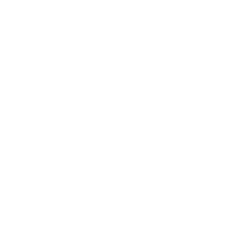 Elegant White Floral Pattern on Transparent Background - Download Free Stock Videos Pikwizard.com